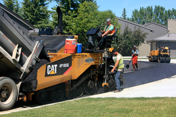 Professional Driveway Pavers in Doolittle, TX